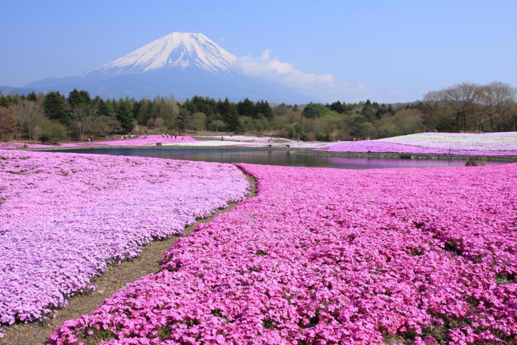 Manten-No-Hoshi Hakone Luaran gambar